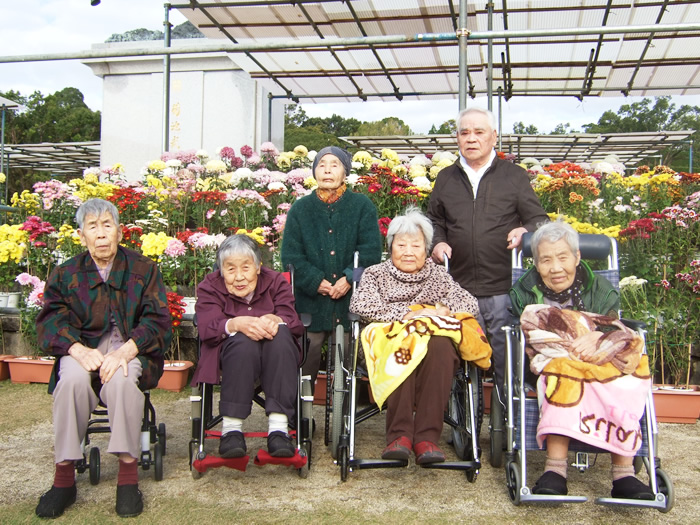 菊人形祭り